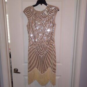 Roaring 20's Dress/Costume